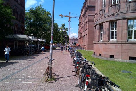 The Sustainable Campus – Findings from Freiburg 